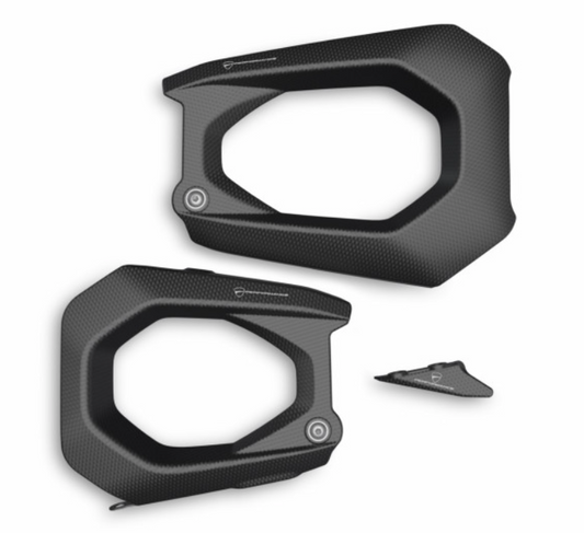 Protezione in Carbonio Forcellone Bibraccio - Ducati Panigale V4